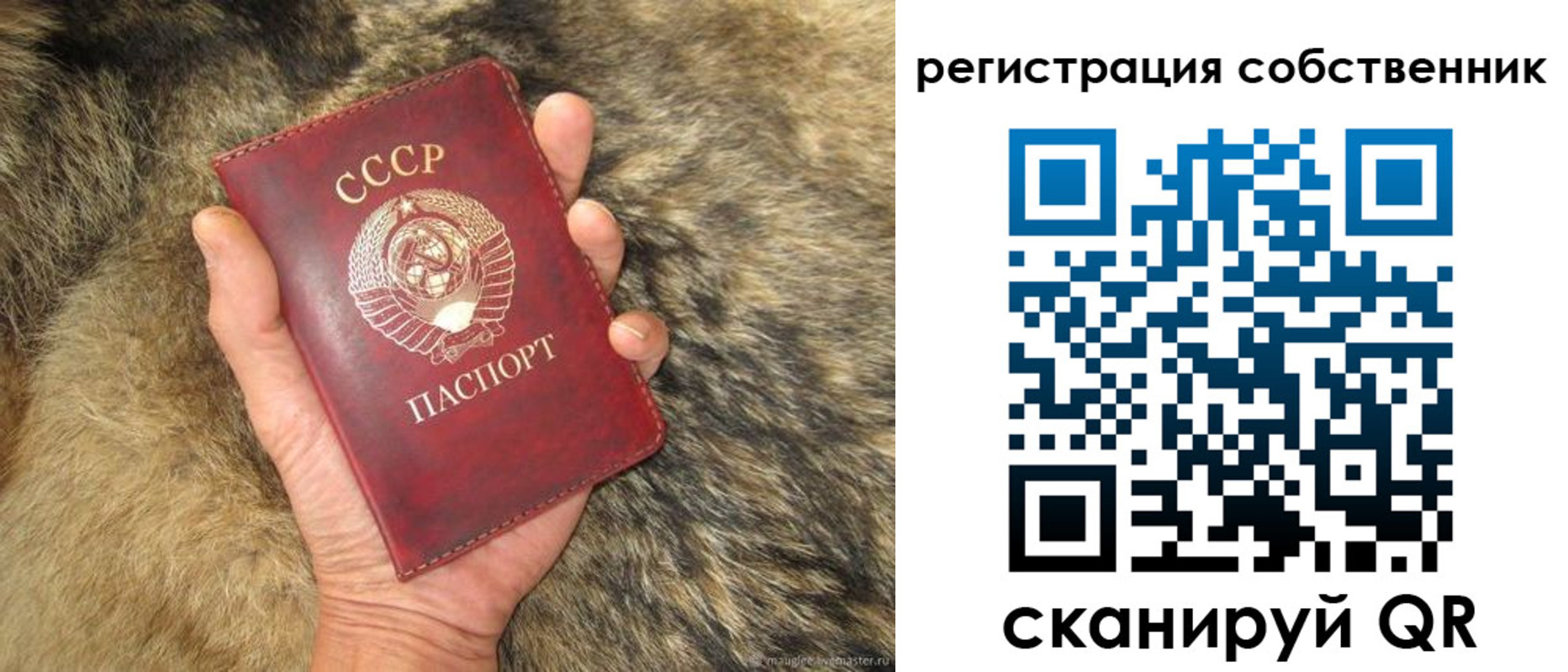 прописка 2025 в Ноябрьске